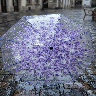 Transparent Flower Design Folding Women Fashion Umbrella